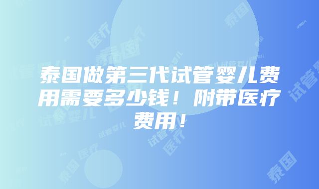 泰国做第三代试管婴儿费用需要多少钱！附带医疗费用！