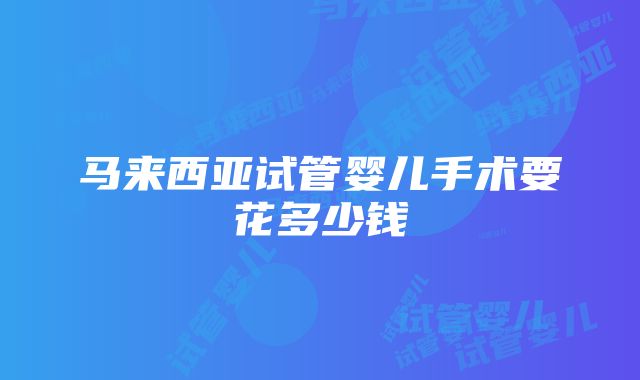 马来西亚试管婴儿手术要花多少钱