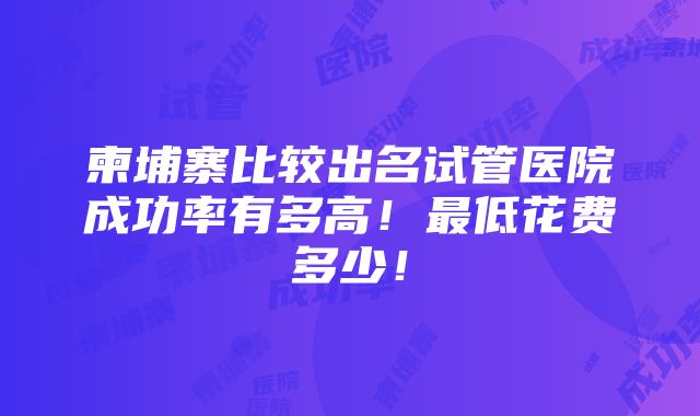 柬埔寨比较出名试管医院成功率有多高！最低花费多少！