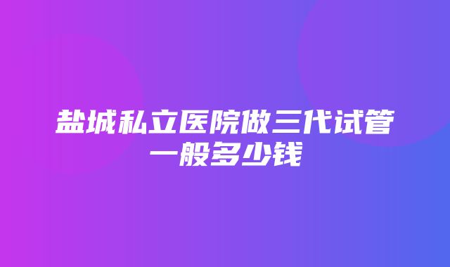 盐城私立医院做三代试管一般多少钱