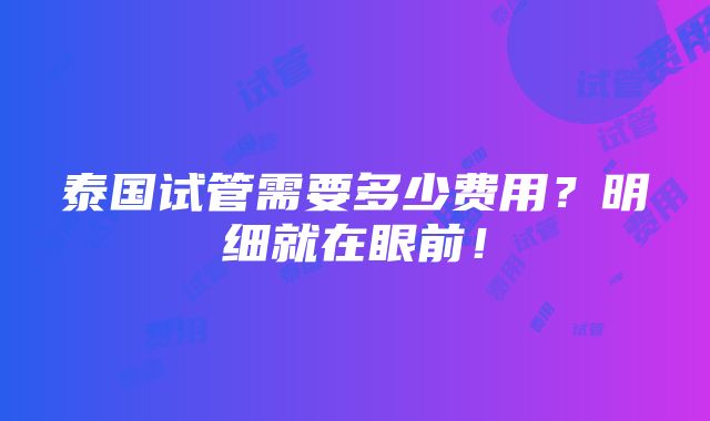 泰国试管需要多少费用？明细就在眼前！