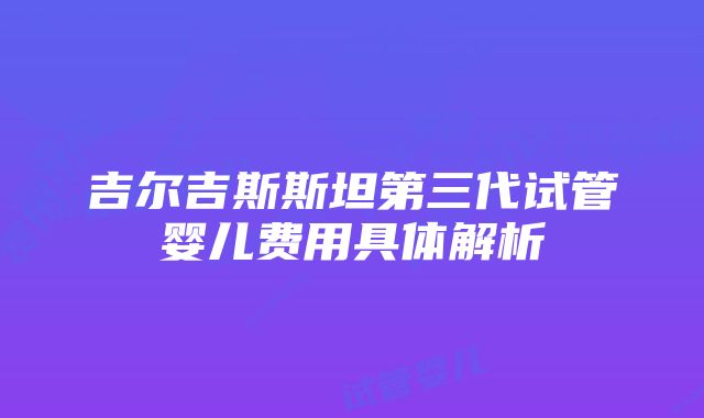 吉尔吉斯斯坦第三代试管婴儿费用具体解析