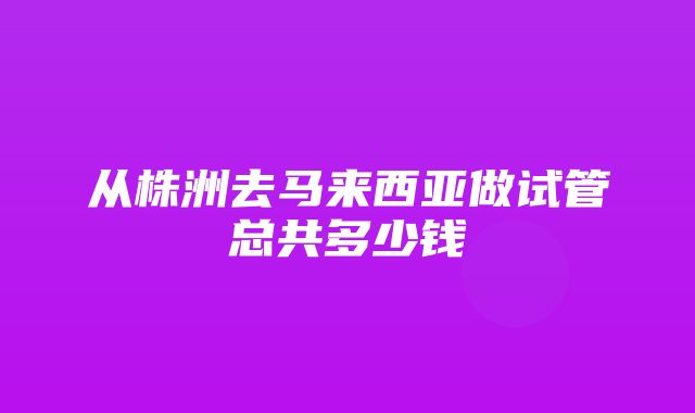 从株洲去马来西亚做试管总共多少钱