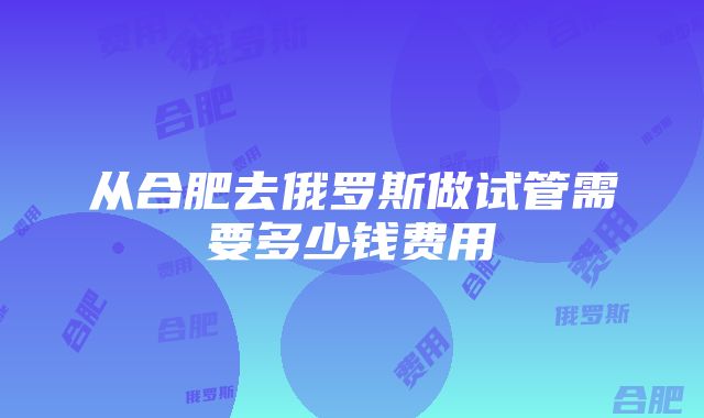 从合肥去俄罗斯做试管需要多少钱费用