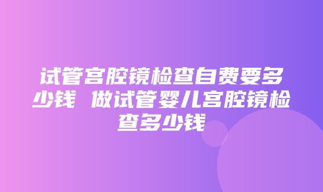 试管宫腔镜检查自费要多少钱 做试管婴儿宫腔镜检查多少钱