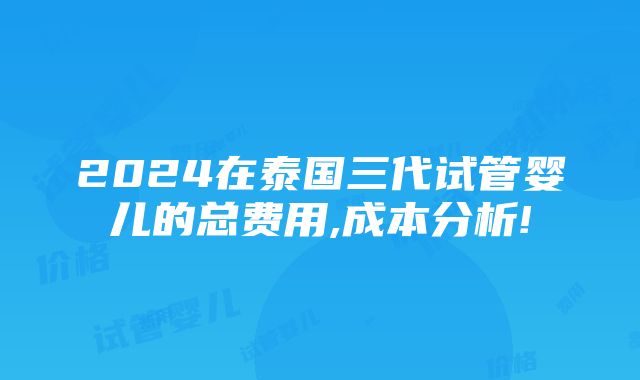 2024在泰国三代试管婴儿的总费用,成本分析!