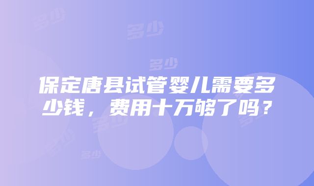 保定唐县试管婴儿需要多少钱，费用十万够了吗？