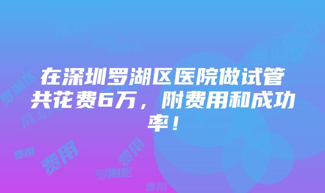 在深圳罗湖区医院做试管共花费6万，附费用和成功率！