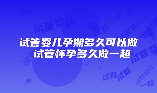 试管婴儿孕期多久可以做 试管怀孕多久做一超