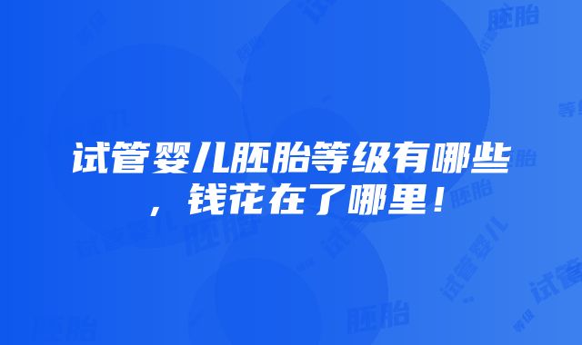 试管婴儿胚胎等级有哪些，钱花在了哪里！