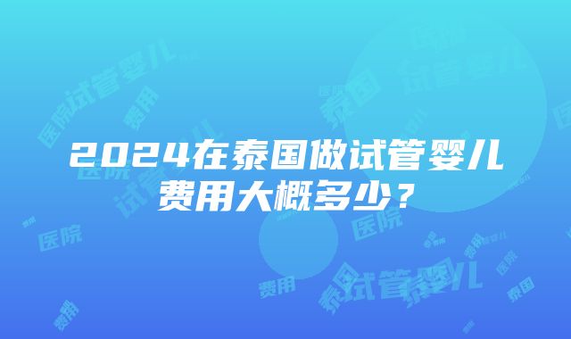 2024在泰国做试管婴儿费用大概多少？