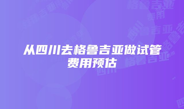 从四川去格鲁吉亚做试管费用预估