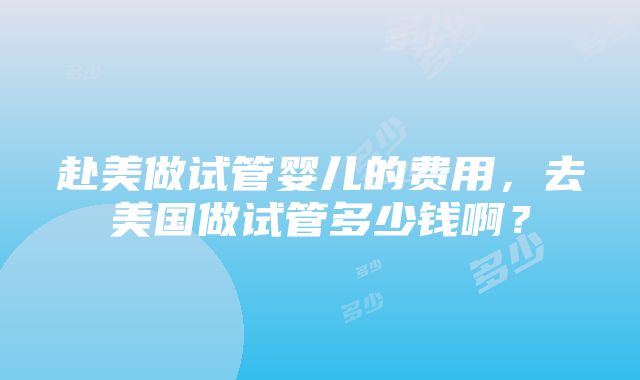 赴美做试管婴儿的费用，去美国做试管多少钱啊？