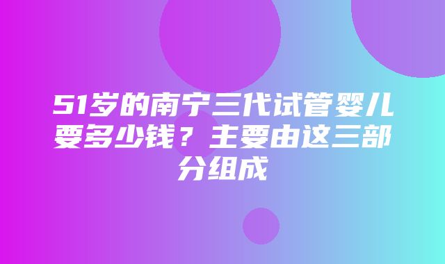 51岁的南宁三代试管婴儿要多少钱？主要由这三部分组成