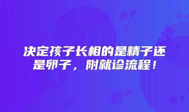 决定孩子长相的是精子还是卵子，附就诊流程！