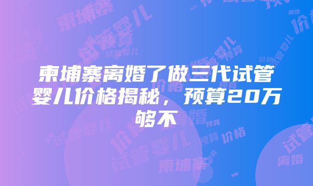 柬埔寨离婚了做三代试管婴儿价格揭秘，预算20万够不