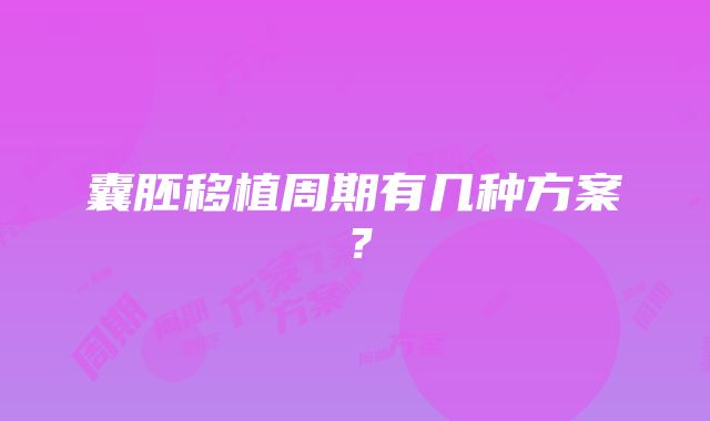 囊胚移植周期有几种方案？