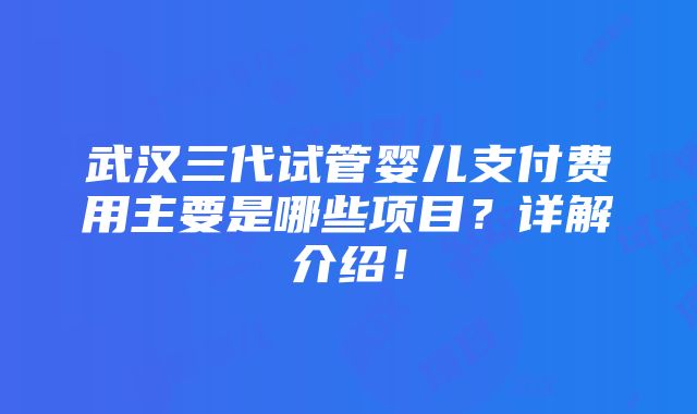 武汉三代试管婴儿支付费用主要是哪些项目？详解介绍！