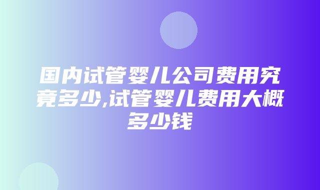 国内试管婴儿公司费用究竟多少,试管婴儿费用大概多少钱