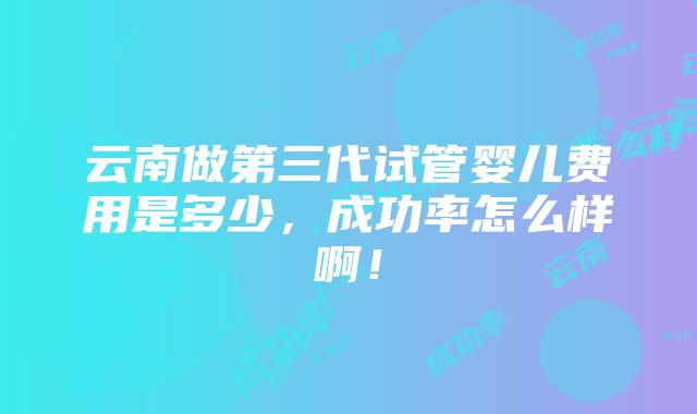 云南做第三代试管婴儿费用是多少，成功率怎么样啊！