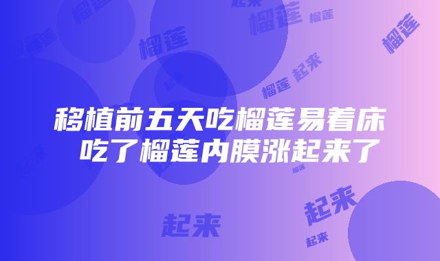 移植前五天吃榴莲易着床 吃了榴莲内膜涨起来了