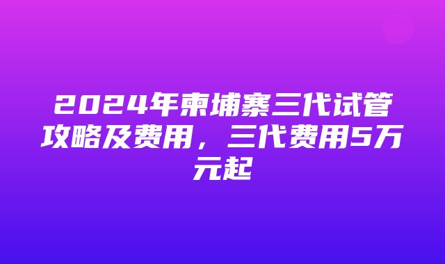 2024年柬埔寨三代试管攻略及费用，三代费用5万元起