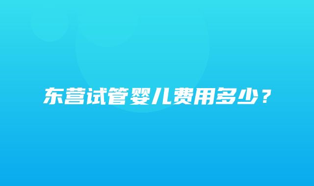 东营试管婴儿费用多少？