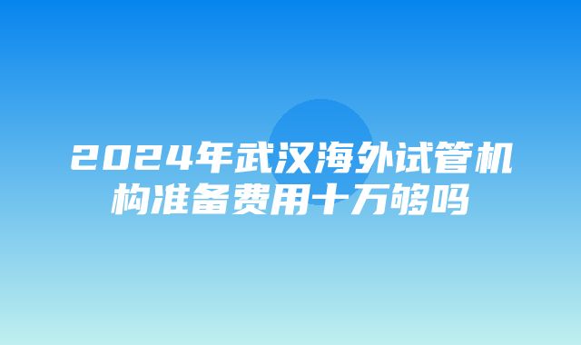 2024年武汉海外试管机构准备费用十万够吗