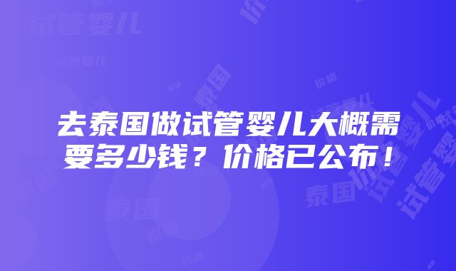 去泰国做试管婴儿大概需要多少钱？价格已公布！