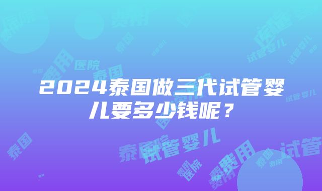 2024泰国做三代试管婴儿要多少钱呢？