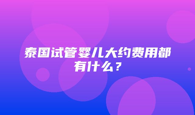 泰国试管婴儿大约费用都有什么？