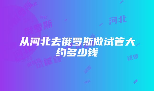 从河北去俄罗斯做试管大约多少钱