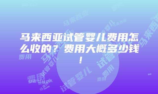 马来西亚试管婴儿费用怎么收的？费用大概多少钱！