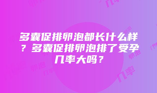 多囊促排卵泡都长什么样？多囊促排卵泡排了受孕几率大吗？