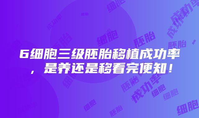 6细胞三级胚胎移植成功率，是养还是移看完便知！