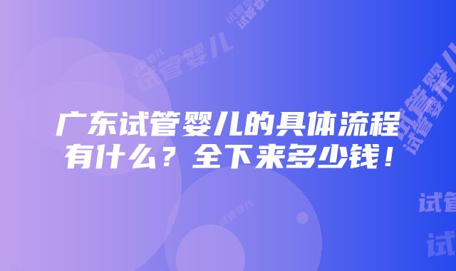 广东试管婴儿的具体流程有什么？全下来多少钱！