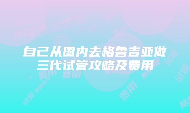 自己从国内去格鲁吉亚做三代试管攻略及费用