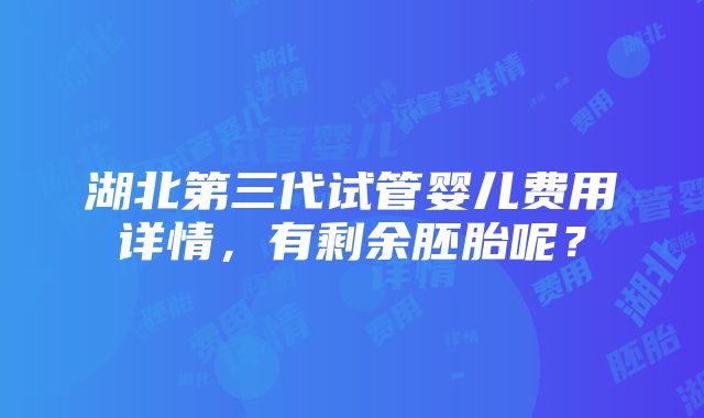 湖北第三代试管婴儿费用详情，有剩余胚胎呢？