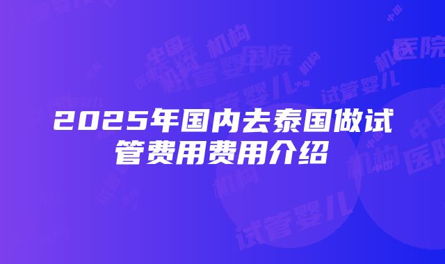 2025年国内去泰国做试管费用费用介绍