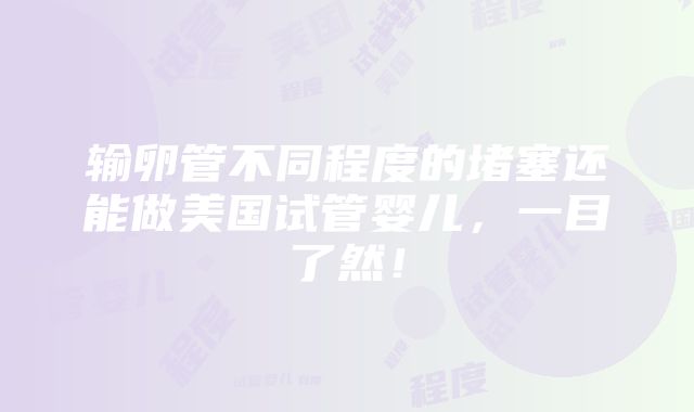 输卵管不同程度的堵塞还能做美国试管婴儿，一目了然！