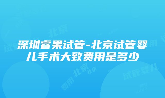 深圳睿果试管-北京试管婴儿手术大致费用是多少