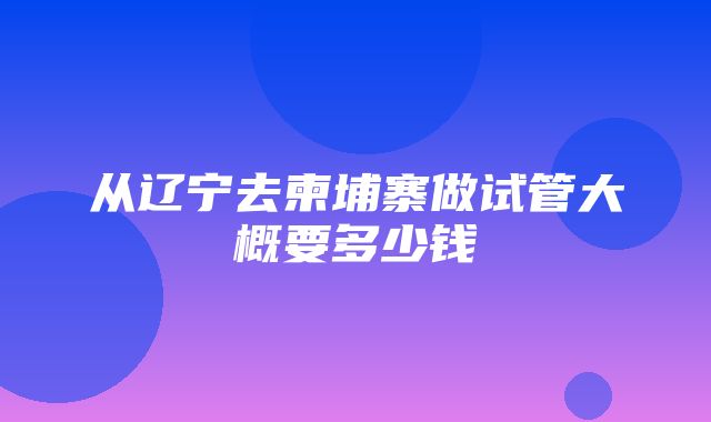 从辽宁去柬埔寨做试管大概要多少钱