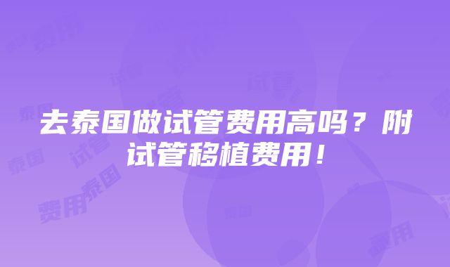 去泰国做试管费用高吗？附试管移植费用！