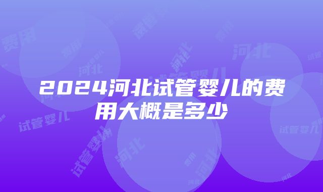 2024河北试管婴儿的费用大概是多少