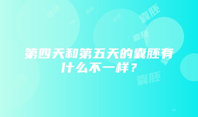 第四天和第五天的囊胚有什么不一样？