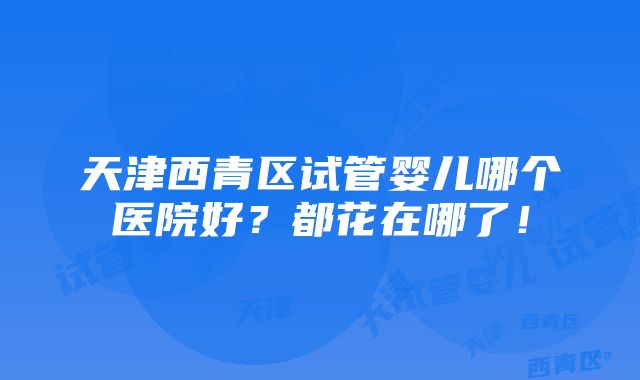 天津西青区试管婴儿哪个医院好？都花在哪了！