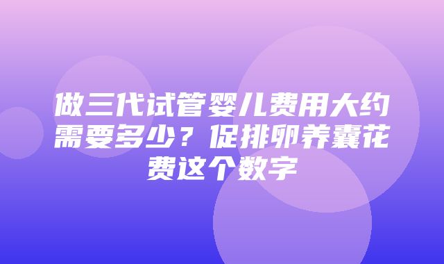 做三代试管婴儿费用大约需要多少？促排卵养囊花费这个数字