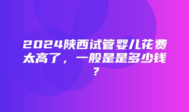 2024陕西试管婴儿花费太高了，一般是是多少钱？