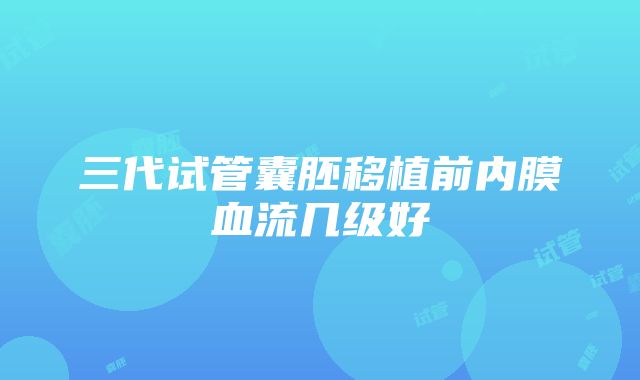 三代试管囊胚移植前内膜血流几级好