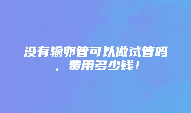 没有输卵管可以做试管吗，费用多少钱！